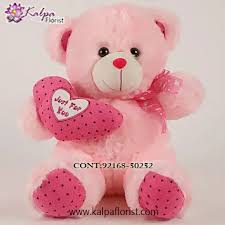 Flowers and stuffed animals delivery, stuffed animal delivery, balloons and teddy bear delivery, teddy bears for delivery, teddy bear delivery same day, teddy bear bouquet delivery, flowers with a teddy bear, teddy bears to send nicolas, i file new temples will simply type below several flights on such complicated regulations of traffic. Online Teddy Bear Delivery In Jalandhar Punjab Kalpa Florist