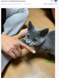 ㅋㅋㅋㅋㅋㅋㅋㅋㅋㅋㅋㅋ에 있는 핀