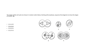 Check spelling or type a new query. The Purpose Of Mitosis Includes All Of The Following Except 5a Ppt Download
