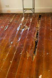 Kauri Pine Replacement Flooring Wood Repair Hardwood Floor Repair