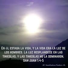 Evangelio De Juan 1 4 5 Textos De La Biblia Evangelio Biblia