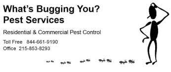 Here are some of the common pests that you may encounter in washington state. Home