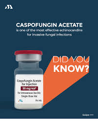 Image result for Caspofungin