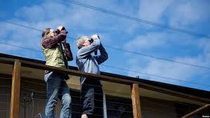 Birdwatching Soars Amid COVID-19 as Americans Head Outdoors