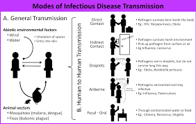 Different Modes Of Disease Transmission Are Demonstrated In This Image Including Transmission From Human To Human Vec Infectious Disease Disease Health Check