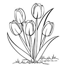 Koremo crepe printed 60 lycra plain 60 lycra denim birman 60 lycra plain hotmelt 60 printed collections. Coloring Pages Of A Tulip Tree Tulip Drawing Coloring Pages Flower Art Painting