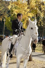 Lee min ho is a south korean actor, singer, and model currently represented by mym entertainment. Lee Minho Sends Sweet Presents To Horse Maximus Acting Together In The King Eternal Monarch Kpopmap