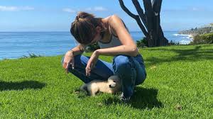 Hair is one of the defining characteristics of mammals. Kaia Gerber Has Died Her Hair Blonde And Fostered A Puppy