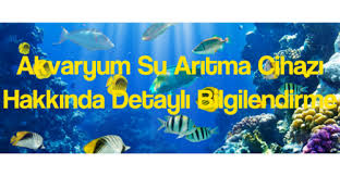 Aquatime Su Aritma Cihazlari Adli Kullanicinin Aquatime Su Aritma Cihazlari Panosundaki Pin Cihaz