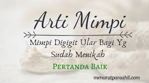 Jika anda mimpi melihat ular, itu. Arti Mimpi Digigit Ular Bagi Yang Sudah Menikah Lengkap Menurut Para Ahli