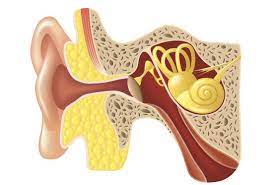 There are a few techniques: How To Pop Your Ears Safely 8 Tips And Remedies