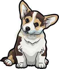 Black And Brown Corgi A Cute Corgi Pet Dog Dog Animation Corgi Art Cute Animal Drawings