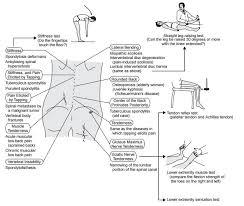 Image result for Low Back Exam