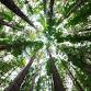 Breathwork Bern — Sibylle Stamm event image