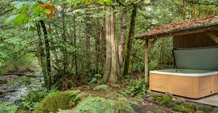 Mt Hood Vacation Rentals Property Moondance Cabin Secluded Cabin Rentals Secluded Cabin Vacation Rental