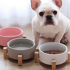 Ceramic Feeding Bowl With Wooden Stand Cute Dog Bowls Boho Dog Puppy Accessories