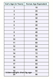 Your female cat's weight will differ based on breed, age, and lifestyle, so it's best to check with someone who really knows your cat and your cat's health issues. Average Weight Chart By Age Drone Fest