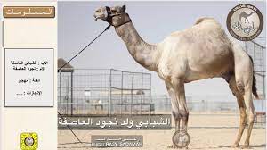 We did not find results for: Ø±Ø§Ø¹ÙŠ Ø§Ù„Ø®ÙŠØ§Ù„ÙŠÙ‡ On Twitter 58 Ø§Ù„Ø´Ø¨Ø§Ø¨ÙŠ ÙˆÙ„Ø¯ Ù†Ø¬ÙˆØ¯ Ø§Ù„Ø¹Ø§ØµÙØ©