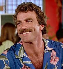 Don't look at the dogs.