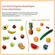 Philosophie Et Recettes Plus Saine La Vie Alimentation Et Sante Aliments Minceur Fruits Et Legumes