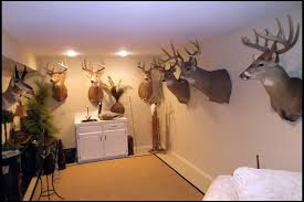 I am in the process of painting my hunting room in my basement. Smart Idea Basement Hunting Room Ideas