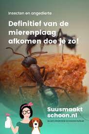 mieren bestrijden binnen mieren bestrijden tuin mieren bestrijden buiten mieren bestrijden bakin in 2020 mieren verdelgen ongedierte in de tuin azijn schoonmaken