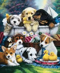 Jenny Newland Puppy Art Dog Drawing Dog Art