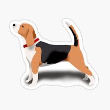 Check spelling or type a new query. Black Tan Beagle Gifts Merchandise Redbubble