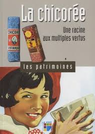 La chicorée : Une racine aux multiples vertus: 9782843931451: Nathalie  Mathis: Books