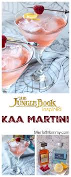 Pin On Drinks For Adults