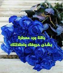 pin by on صورة وتعليق cabbage vegetables food