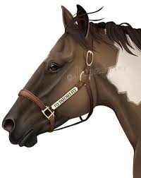 Fly Patches Fly By Jullelin On Deviantart Horse Art Horse Art Ideas Horse Artwork