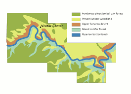 Walnut Canyon Trail Map File:nps Walnut-Canyon-Vegetation-Map.gif - Wikimedia Commons