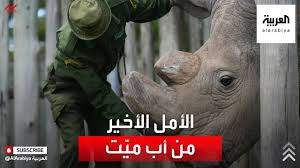 صيد وحيد القرن والفيلة بأعداد قياسية في أفريقيا حيوانات قامت بإنقاذ حياة أشخاص بشكل عجيب.!! Ø§Ù„Ø£Ù…Ù„ Ø§Ù„Ø£Ø®ÙŠØ± Ù„Ù…Ù†Ø¹ Ø§Ù†Ù‚Ø±Ø§Ø¶ ÙˆØ­ÙŠØ¯ Ø§Ù„Ù‚Ø±Ù† Ø§Ù„Ø£Ø¨ÙŠØ¶ Ø§Ù„Ø´Ù…Ø§Ù„ÙŠ Youtube