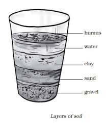 Projects For Class 7 In Physics Science Models For Grade 7