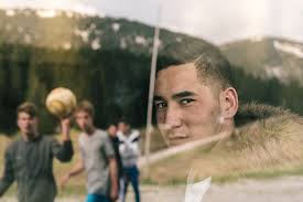 On a beau tuer les hirondelles