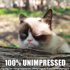 The Daily Grump April 20 2014 Grumpy Cat Funny Grumpy Cat Memes Grumpy Cat Meme