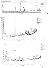 Image result for Chasmanthera dependens