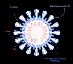Sars first appeared in china in november 2002. Sars Cov 2 Proteins Eurogentec