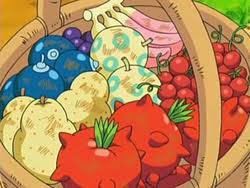 As in the real world, a large variety exists in the pokémon world, with a large range of flavors, names, and effects. Berry Bulbapedia The Community Driven Pokemon Encyclopedia