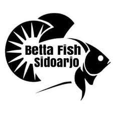 Betta Logo Design Google Search Gambar