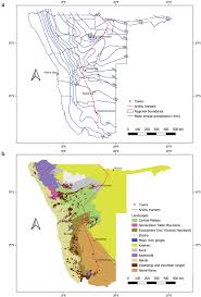 Image result for Baissea wulfhorstii