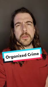 Understanding Organized Crime Groups and Their Influence