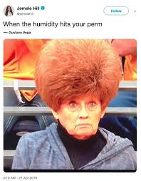 Utah Jazz Fan Hair | Know Your Meme
