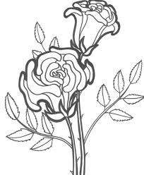 Search through 52248 colorings, dot to dots, tutorials and silhouettes. Free Printable Roses Coloring Pages For Kids