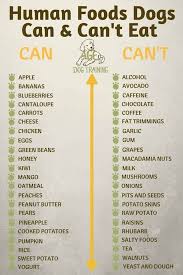 List Of Food You Do And Don T Feed A Dog Foods Dogs Can Eat Dog Food Recipes Human Food For Dogs