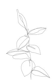 One Line Minimal Plant Leaves Drawing Berry Sticker By The Colour Study White 3 X3 Leaf Drawing Flower Drawing Color Studies