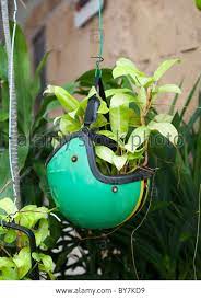 Pin By Jo Husby On Recycling Old Helmets Flower Pots Upcycle Garden Gutter Garden