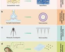 nanovesicles skin delivery system biomimetic, generada por IA