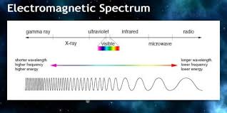 How cellular trail cameras work. How Do Trail Cameras Work A Complete Guide